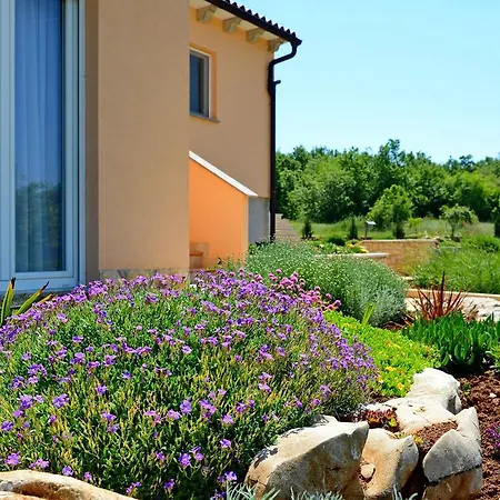 Apartman Marinero *